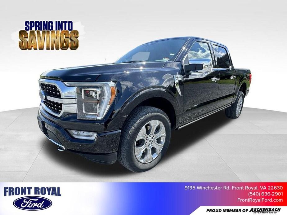 used 2023 Ford F-150 car, priced at $59,973