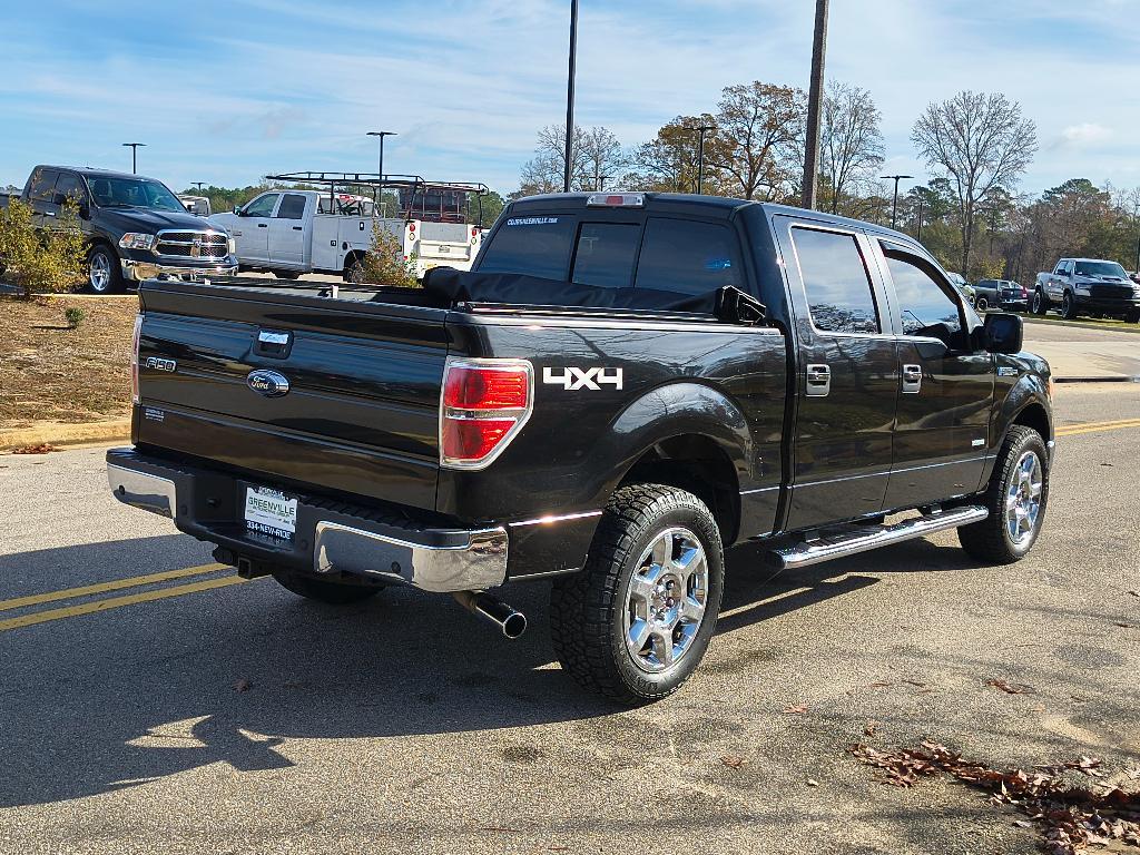 used 2013 Ford F-150 car