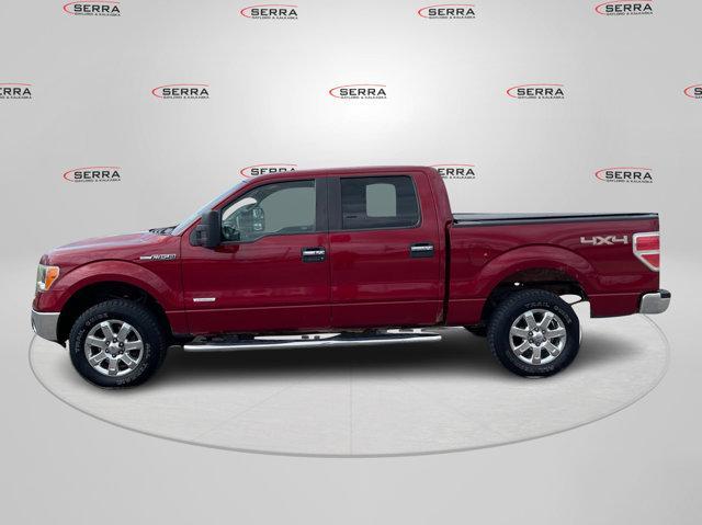 used 2013 Ford F-150 car, priced at $10,000