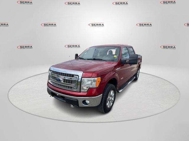used 2013 Ford F-150 car, priced at $10,000