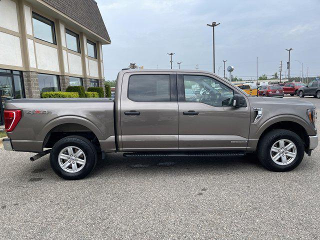 used 2023 Ford F-150 car, priced at $40,500