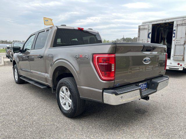 used 2023 Ford F-150 car, priced at $40,500