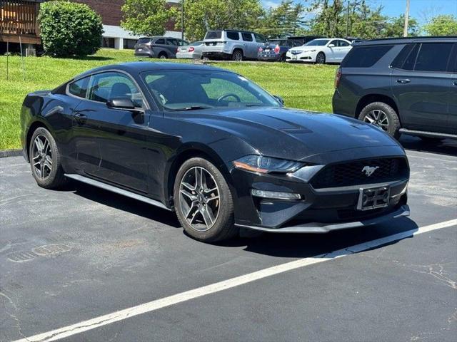 used 2020 Ford Mustang car