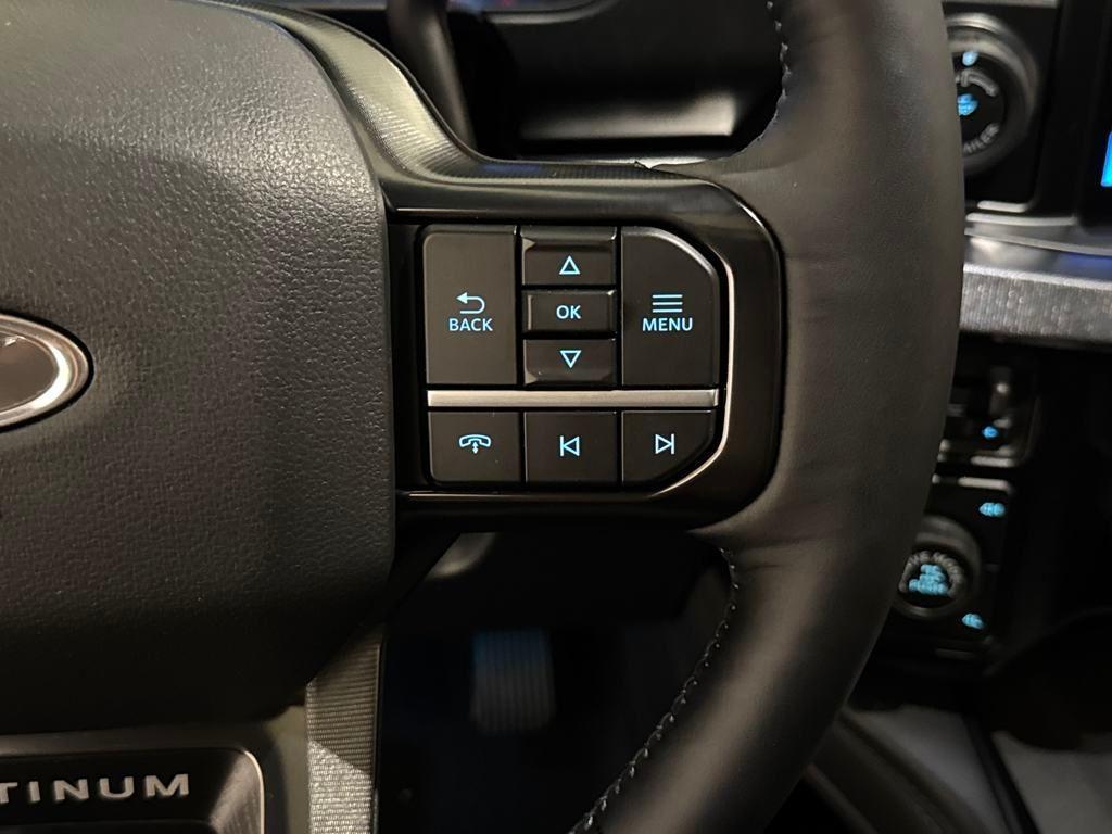 new 2025 Ford F-250 car, priced at $95,124