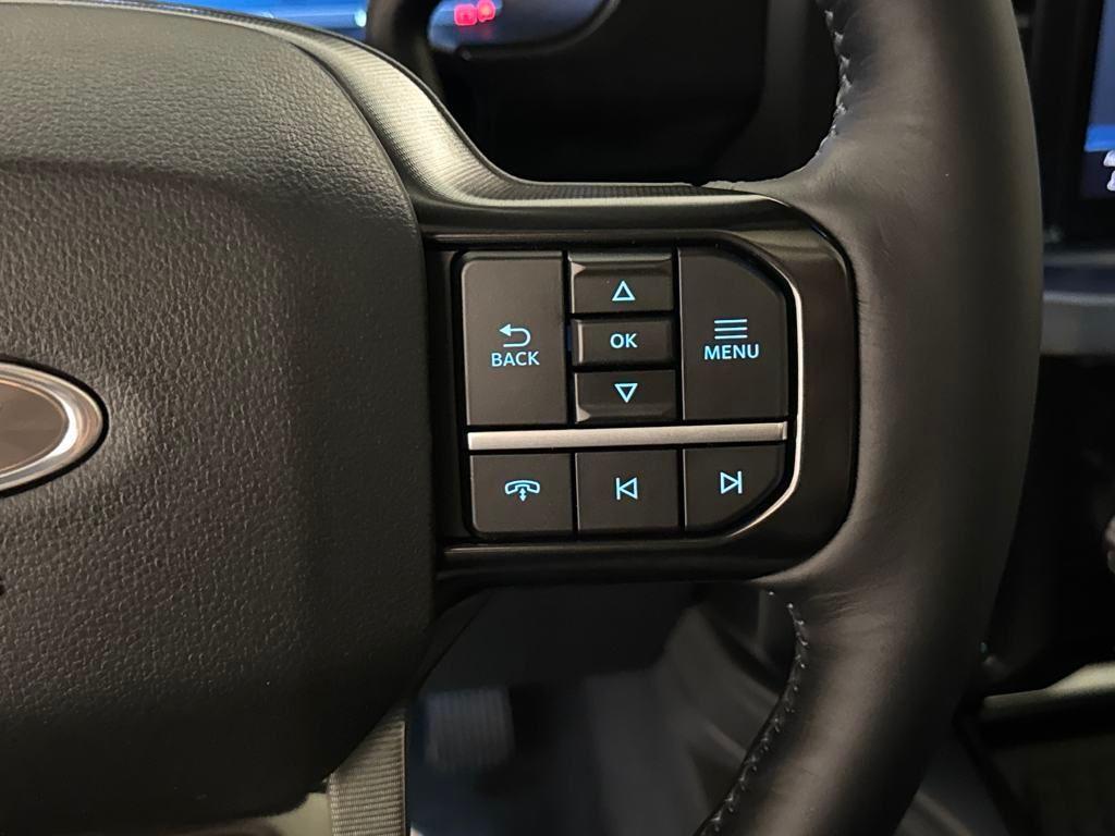 new 2025 Ford F-250 car, priced at $95,124