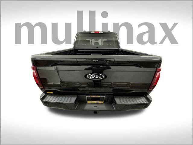 new 2025 Ford F-150 car, priced at $48,024