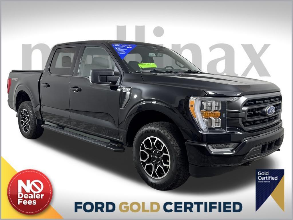 used 2023 Ford F-150 car, priced at $40,500