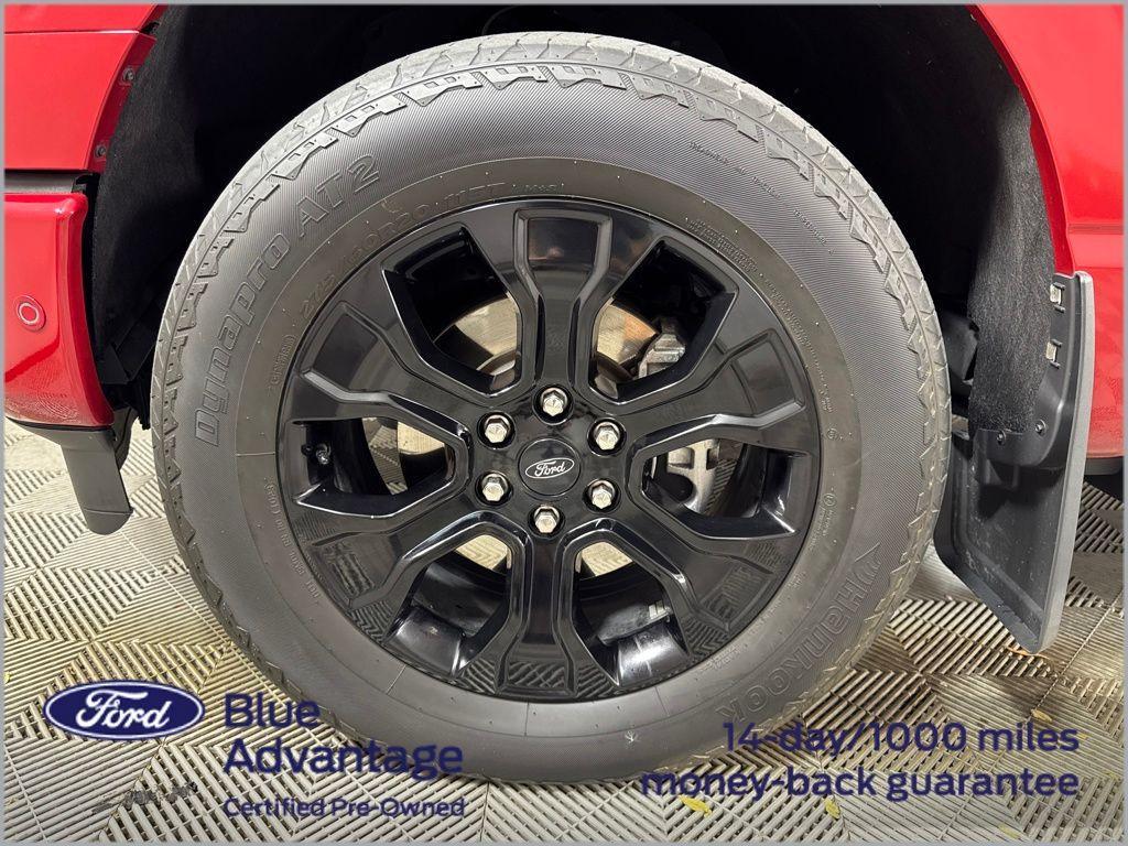 used 2023 Ford F-150 car, priced at $49,500