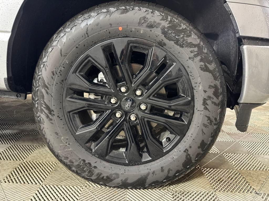 new 2025 Ford F-150 car, priced at $67,114