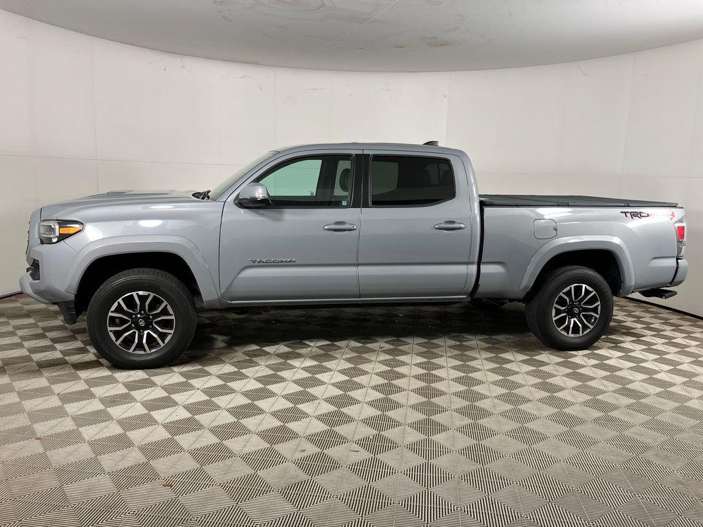 used 2021 Toyota Tacoma car
