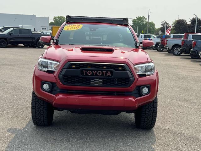 used 2019 Toyota Tacoma car, priced at $31,995