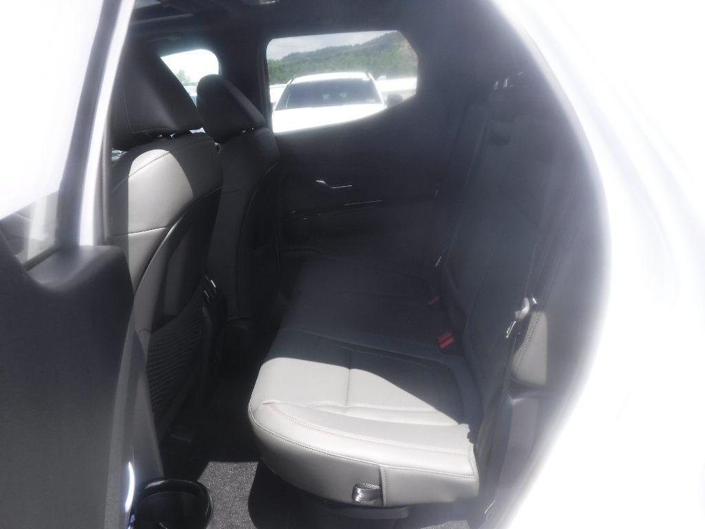 new 2025 Hyundai SANTA CRUZ car, priced at $45,295