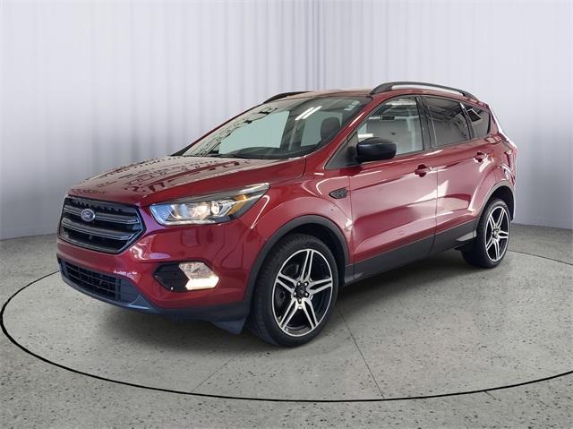used 2019 Ford Escape car, priced at $13,498