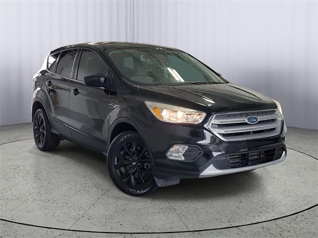 used 2019 Ford Escape car, priced at $15,000