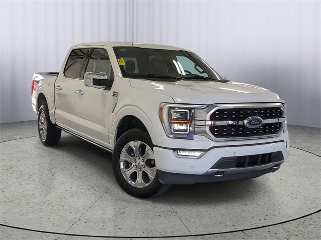 used 2023 Ford F-150 car, priced at $49,500