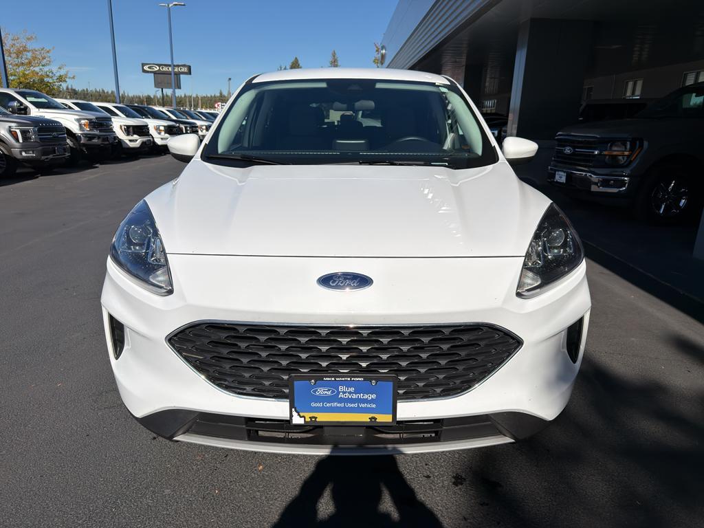 used 2021 Ford Escape car, priced at $19,925