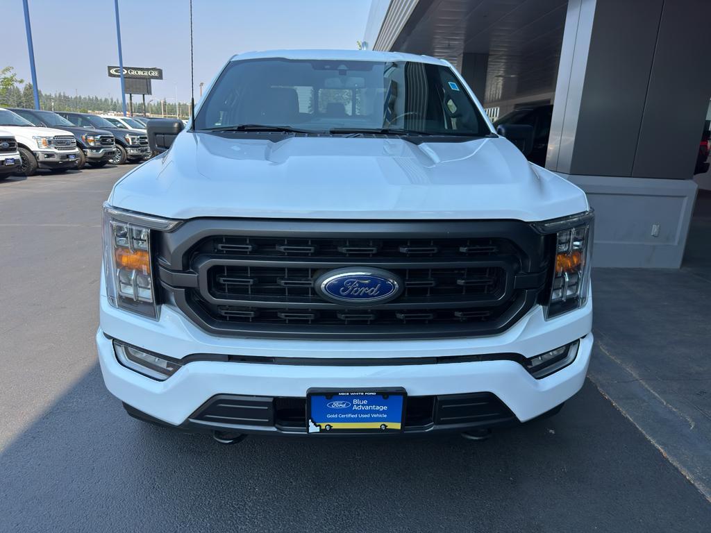 used 2023 Ford F-150 car, priced at $46,225