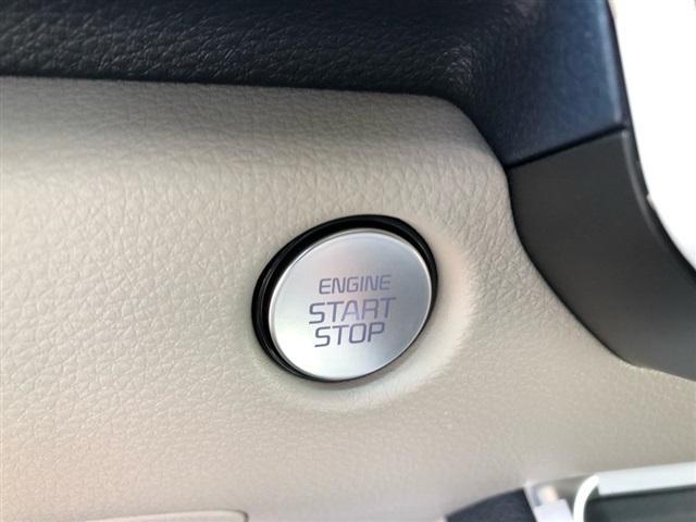 new 2025 Kia Carnival car, priced at $41,175