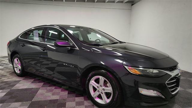 used 2023 Chevrolet Malibu car
