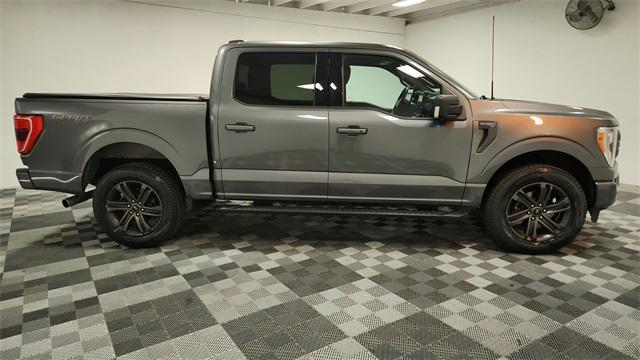 used 2022 Ford F-150 car