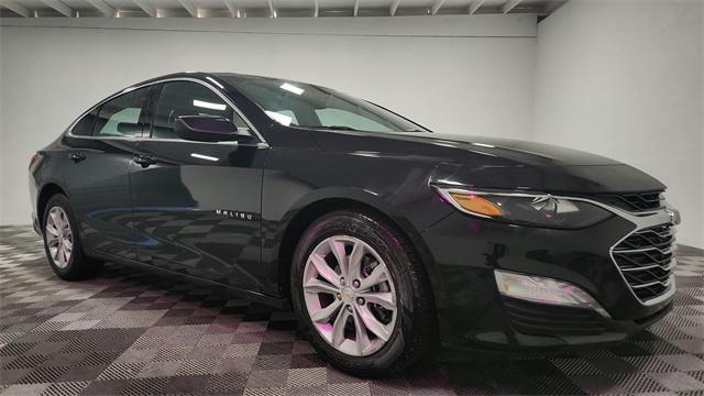 used 2024 Chevrolet Malibu car