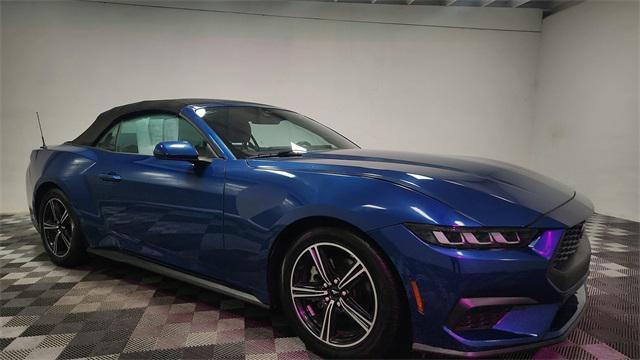 used 2024 Ford Mustang car