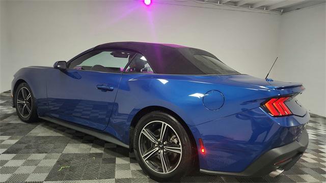 used 2024 Ford Mustang car