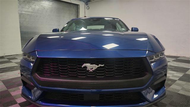 used 2024 Ford Mustang car