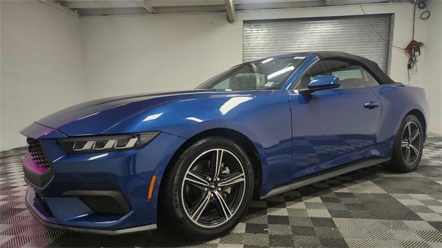 used 2024 Ford Mustang car