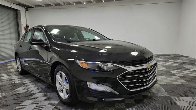 used 2023 Chevrolet Malibu car