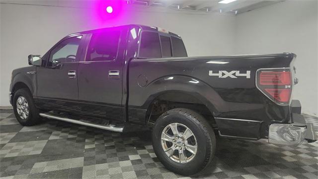 used 2013 Ford F-150 car
