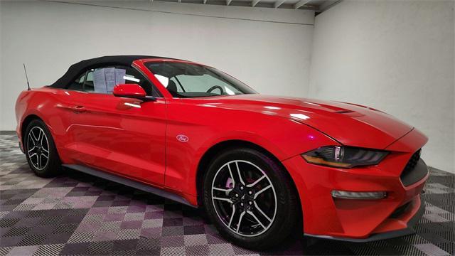used 2022 Ford Mustang car