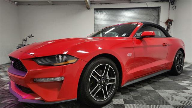 used 2022 Ford Mustang car