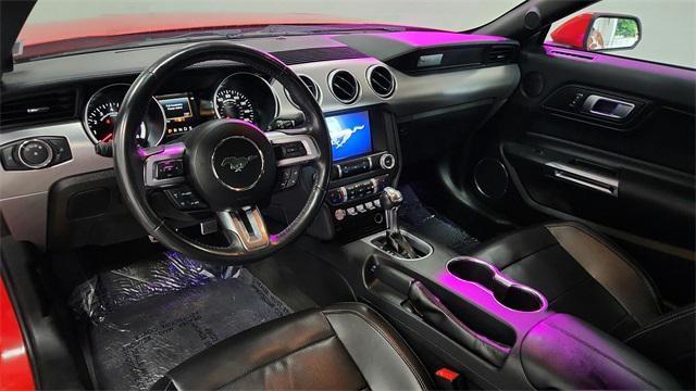 used 2022 Ford Mustang car