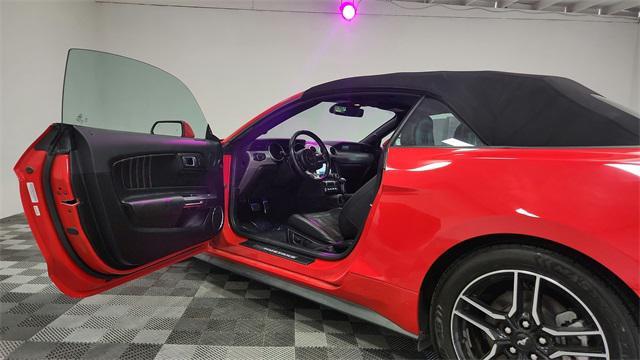 used 2022 Ford Mustang car