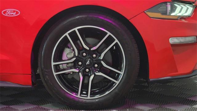 used 2022 Ford Mustang car