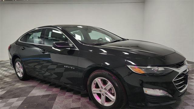 used 2023 Chevrolet Malibu car