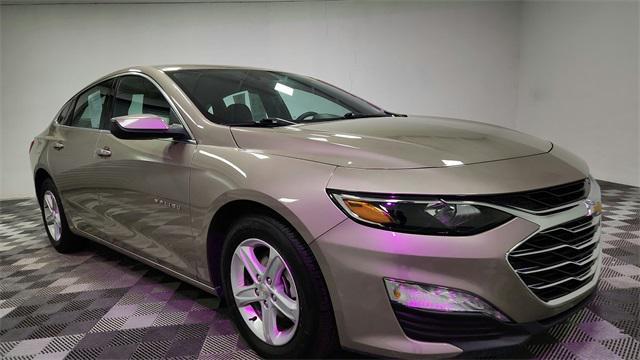 used 2023 Chevrolet Malibu car