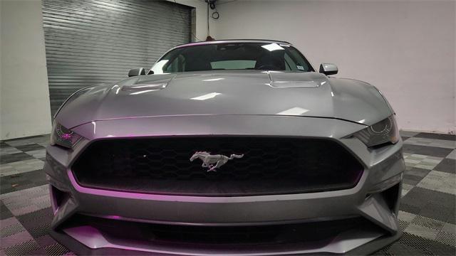 used 2022 Ford Mustang car