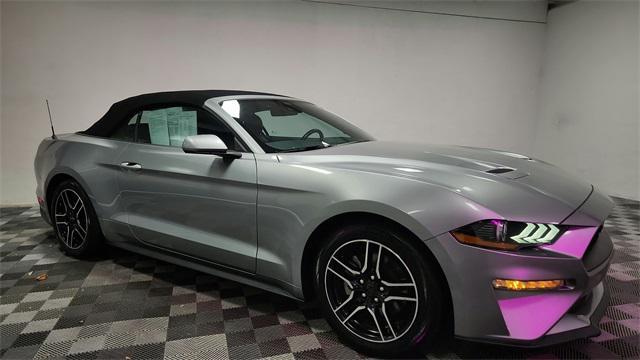 used 2022 Ford Mustang car