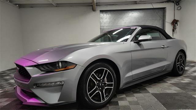 used 2022 Ford Mustang car