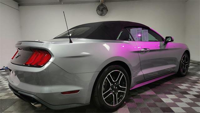used 2022 Ford Mustang car