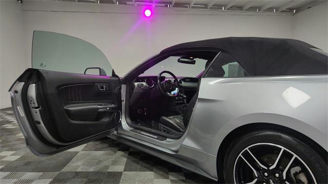 used 2022 Ford Mustang car