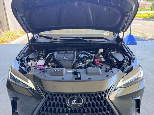 new 2025 Lexus NX 350 car, priced at $50,085