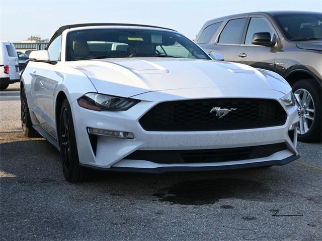 used 2019 Ford Mustang car, priced at $16,387