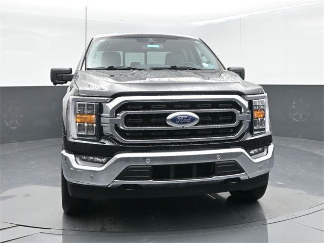used 2023 Ford F-150 car, priced at $39,995