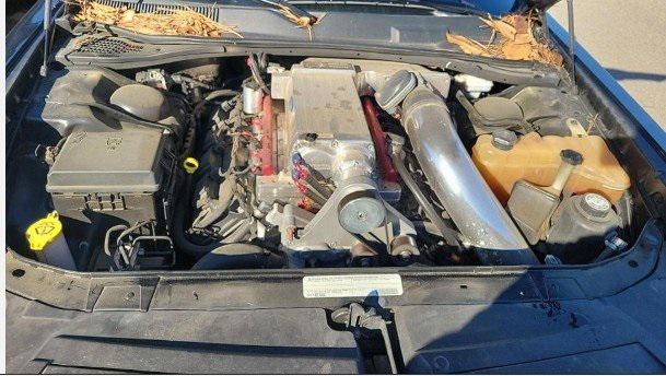 used 2012 Dodge Challenger car, priced at $23,995