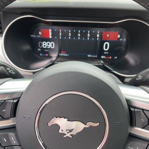 used 2022 Ford Mustang car