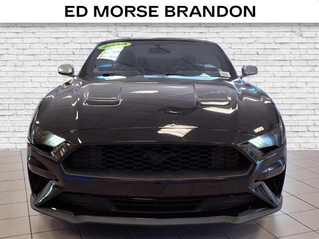 used 2019 Ford Mustang car, priced at $17,488