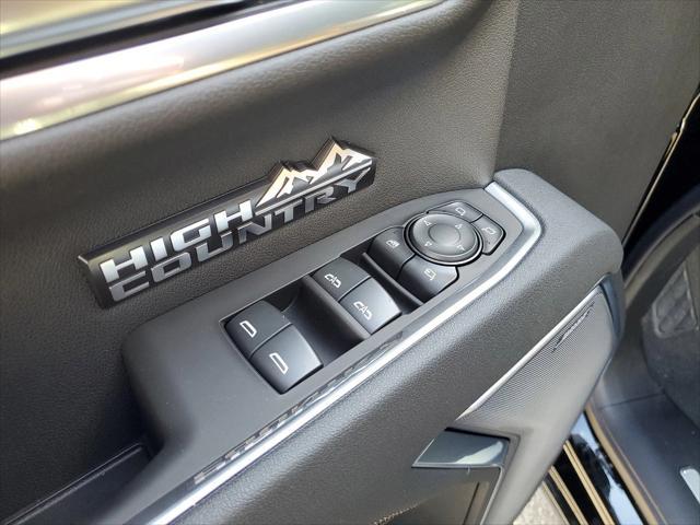new 2025 Chevrolet Silverado 1500 car, priced at $65,185